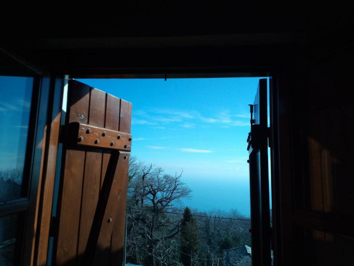 Giordani Guesthouse Цагарада Экстерьер фото